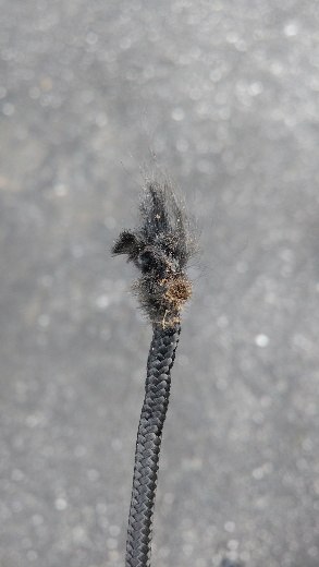 Image of frayed lawnmower starter cord